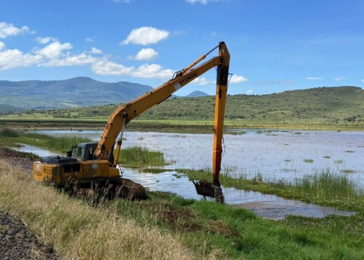 Conagua y Gobierno estatal coordinan limpieza de drenes y canales para prevenir inundaciones