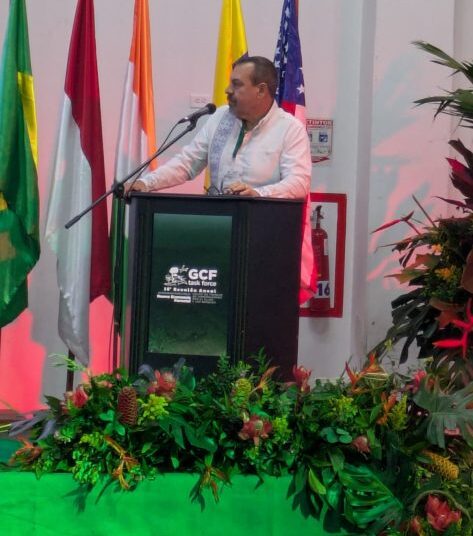 Michoacán se une a la élite mundial contra la deforestación