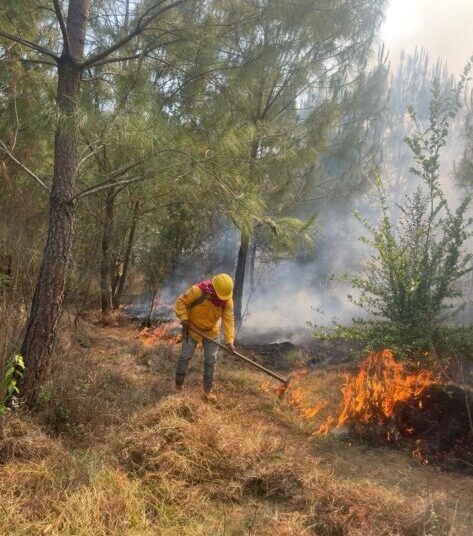 Incendio forestal en el Cerro del Estribo controlado en un 80 %