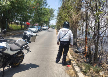 Se registra incendio forestal al sur de Morelia