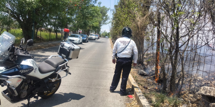 Se registra incendio forestal al sur de Morelia