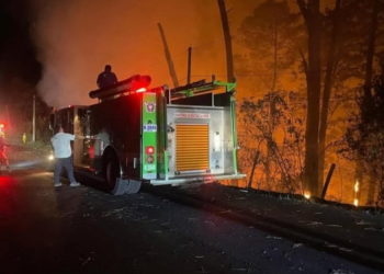 Un brigadista forestal perdió la vida luego de volcadura