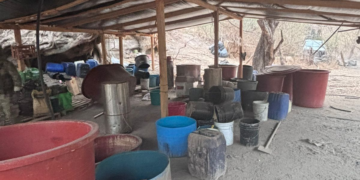 Desmantelan laboratorio de fenta en Michoacán