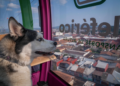 Gladyz Butanda invita a Jornada de Bienestar Animal en el teleférico de Uruapan