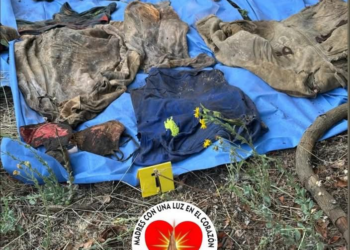 Encuentran restos humanos en Uruapan