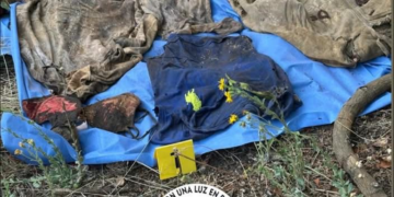 Encuentran restos humanos en Uruapan