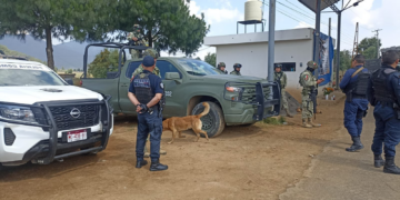 Guardia Civil y Ejército Mexicano con operaciones permanentes en Sevina: Bedolla