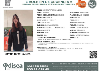 Desaparecida en EdoMex, es localizada en Michoacán