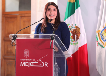 Seimujer respalda reforma para prohibir candidaturas a deudores y agresores
