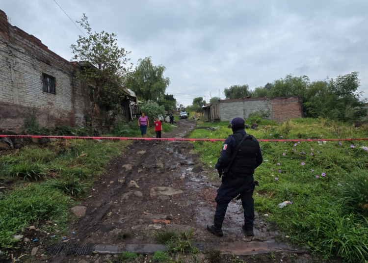 Localizan 4 cuerpos asesinados en Zamora