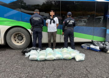Lo cachan transportando 27 kilos de verde en Taretan