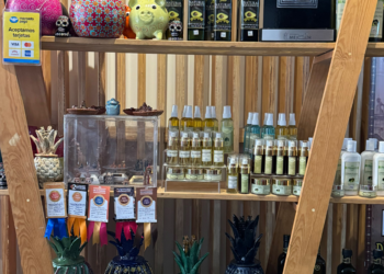 Michoacán lleva su riqueza productiva y artesanal a Punto México