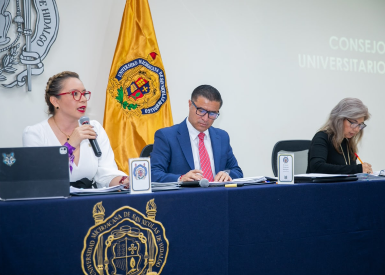 SE ROBUSTECEN MECANISMOS DE CONTROL INTERNO EN GESTIÓN DE YARABÍ ÁVILA; SE APRUEBAN MANUALES DE PROCEDIMIENTOS