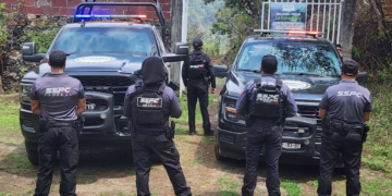 Localizan venado desmembrado en Uruapan