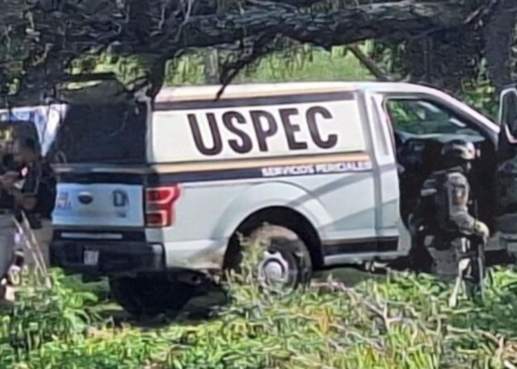 Hallan cráneo humano en Apatngán