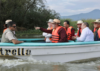Siembra de 40 mil peces en el lago de Pátzcuaro, prioridad para su rescate: Bedolla