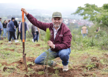 Anuncia Bedolla reforestación de 17 mil hectáreas con 10.5 millones de árboles