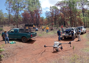 Dispersan 12 mil semillas en Pátzcuaro para restaurar el Estribo Grande