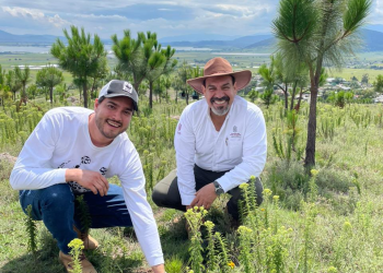 Priorizan rescate de cuencas y Áreas Naturales Protegidas en reforestación estatal