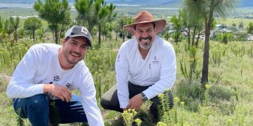 Priorizan rescate de cuencas y Áreas Naturales Protegidas en reforestación estatal