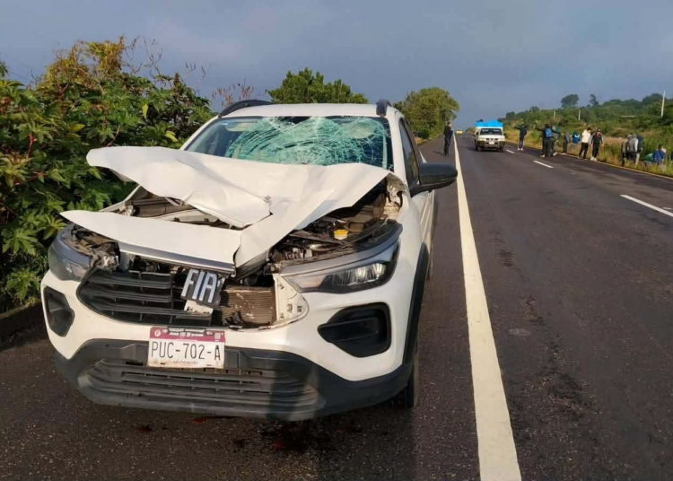 Normalista resulta gravemente lesionado tras ser atropellado en Tiripetío; conductor fue asegurado