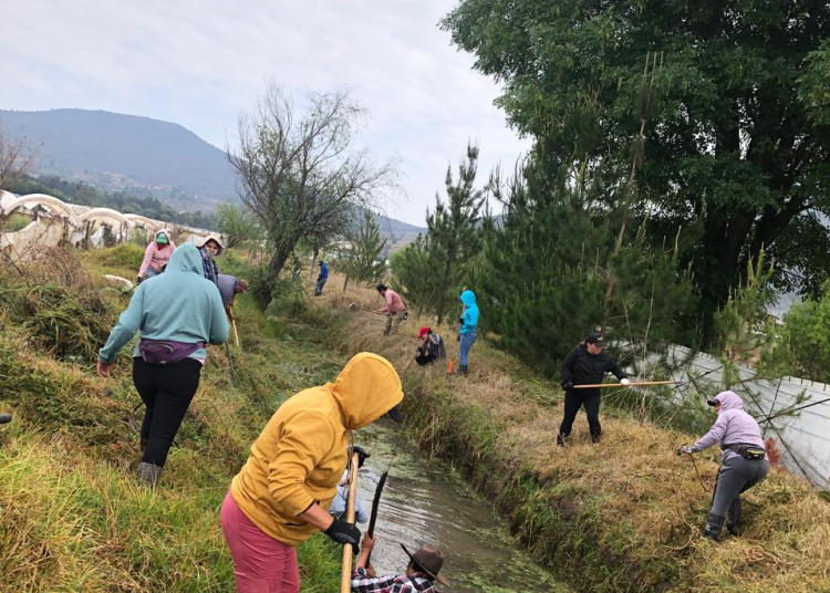 Con obras de conservación, Programa de Empleo Temporal blinda al lago de Pátzcuaro