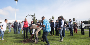 UMSNH, COMPROMETIDA CON EL CUIDADO DEL MEDIO AMBIENTE; ENCABEZA RECTORA, CRUZADA DE REFORESTACIÓN