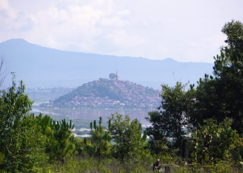 Reforestación en Michoacán, clave para la recuperación de ecosistemas y recursos hídricos