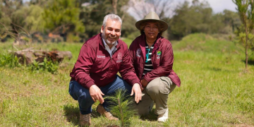 Estrategia ambiental de Michoacán sumará histórico de 50 millones de árboles reforestados: Bedolla