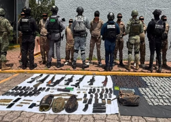 Detienen a 11 personas por crimen organizado en Zamora