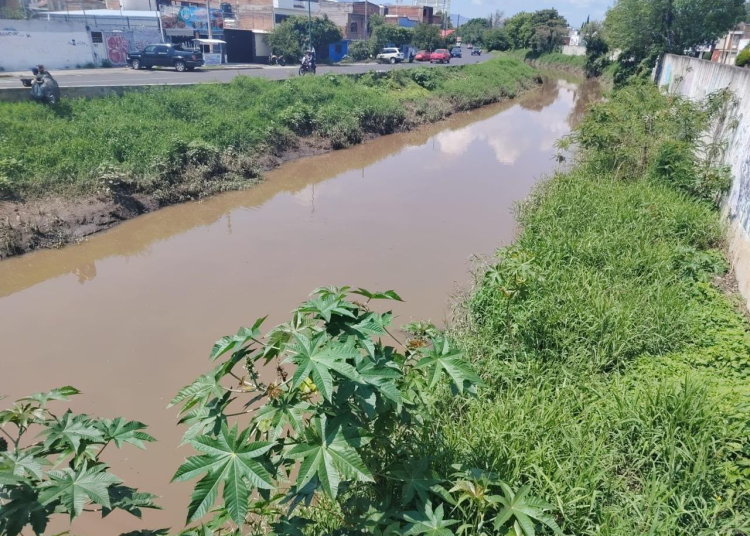 Ante lluvias, vigila Conagua Michoacán crecimiento del Río Grande de Morelia