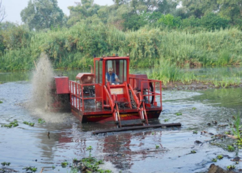 Se consolida el rescate del lago de Pátzcuaro; concluyen obras en el canal de Erongarícuaro: Bedolla