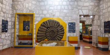 UMSNH Y SECRETARÍA DE CULTURA FEDERAL EN ESTRECHA COLABORACIÓN; PROMUEVEN EL PATRIMONIO PALEONTOLÓGICO