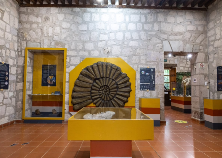 UMSNH Y SECRETARÍA DE CULTURA FEDERAL EN ESTRECHA COLABORACIÓN; PROMUEVEN EL PATRIMONIO PALEONTOLÓGICO