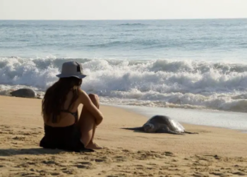 Las playas de Michoacán te esperan para una escapada inolvidable este verano