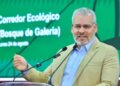 El Gobernador anuncia conservación de los árboles de la zona de Tres Puentes