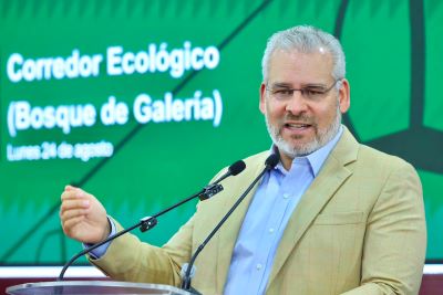 El Gobernador anuncia conservación de los árboles de la zona de Tres Puentes