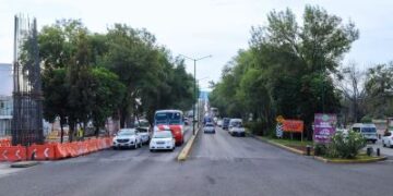 Con ajuste del proyecto del Morebús se rescatarán y trasplantarán 27 árboles en Tres Puentes