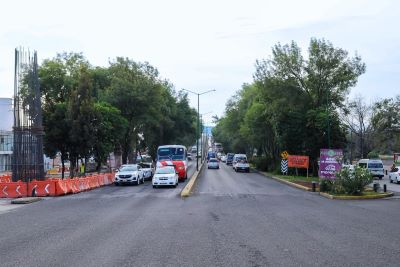 Con ajuste del proyecto del Morebús se rescatarán y trasplantarán 27 árboles en Tres Puentes