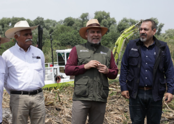 Gobierno de Bedolla consolida siembra histórica de 321 mil peces en el lago de Pátzcuaro