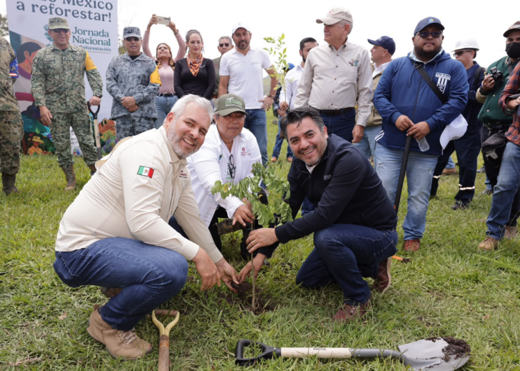Más de 10 mil michoacanos se suman a la Jornada Nacional de Reforestación: Bedolla