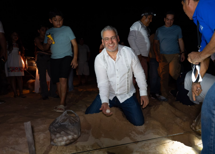 Con apoyo de 27 campamentos, Michoacán proyecta el nacimiento de 1.8 millones de tortugas: Bedolla