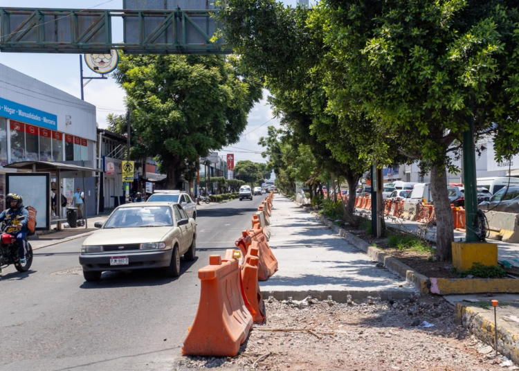 Morebús impulsa reforestación urbana este domingo 23 de agosto