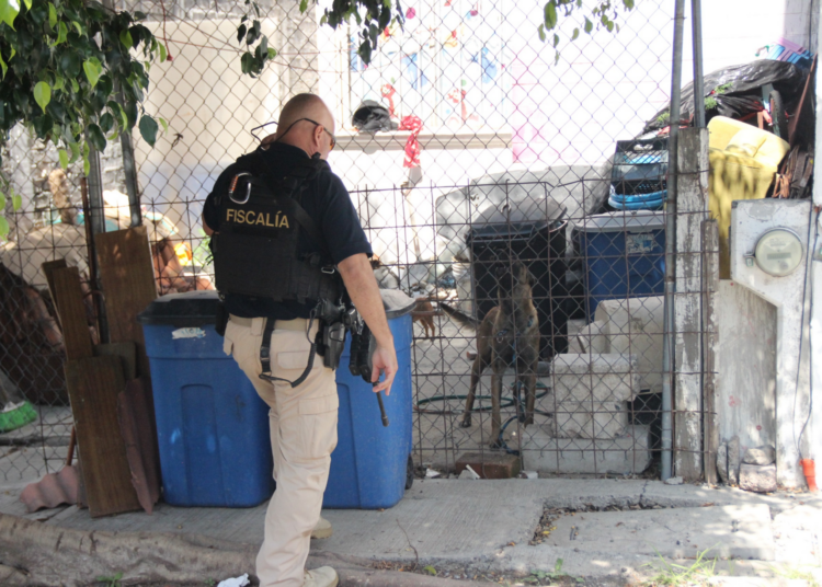 Rescatan a perros en Tarímbaro