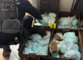 Aseguran 120 kilos de pastillas de fentanilo en inmueble vinculado con Los Rusos en BC