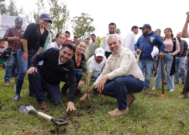 Arrancará mañana reforestación de 32 mil árboles en la ruta del Morebús: Bedolla
